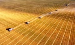 响应了“双碳”方针